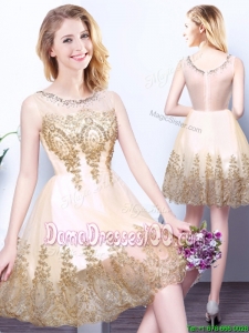 Hot Sale Champagne Zipper Up Short Dama Dress with Appliques and Beading