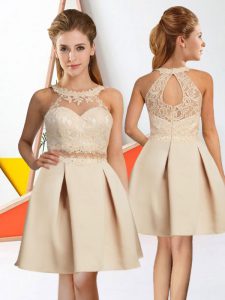 Inexpensive Champagne Quinceanera Court of Honor Dress Prom and Party with Lace Halter Top Sleeveless Zipper