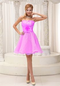 2013 Hand Made Flower Pink Beaded Organza Dresses for Dama